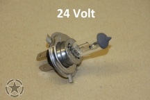 Leuchtmittel  24 Volt