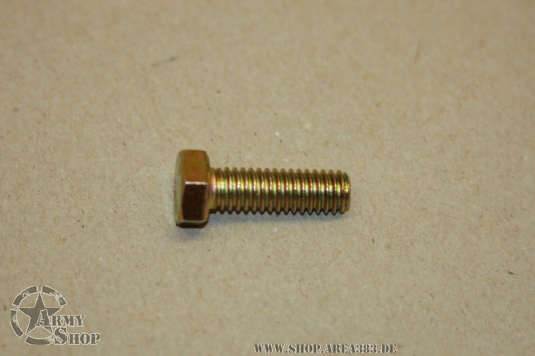 MANIFOLD ASSEMBLY SCREW