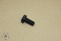 Ford Screw  5/16 UNF x 5/8